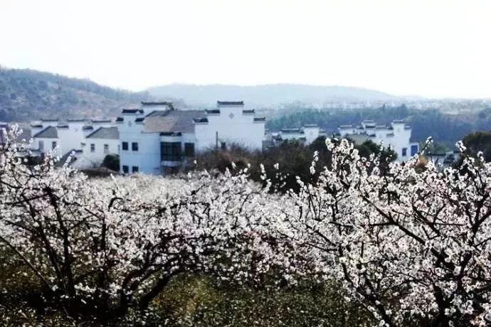 魔法学校女生